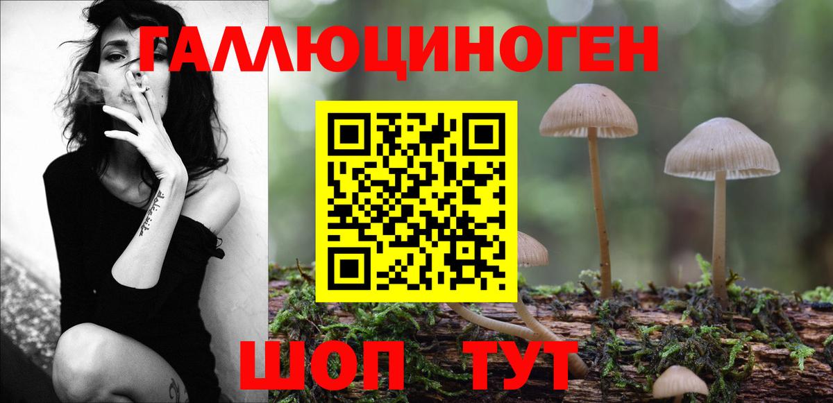 Псилоцибиновые грибы Psilocybe  Вход с VPN  Лиски 